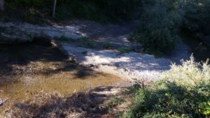 Soquel Creek as it passes Bargetto Winery