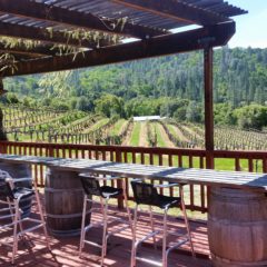 Charles B. Mitchell Winery Guest House Deck